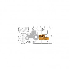 Поршень з пальцем двигуна - 738106M91 Massey Ferguson