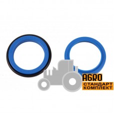 Ремкомплект гідроциліндра жатки комбайна Claas