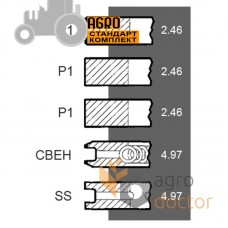 Поршневые кольца 0616440000 Deutz Fahr двигателя Deutz FL812, (5 колец), [Bepco]