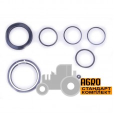 Ремкомплект гідроциліндра до Claas Dominator 80/85 та 100/105