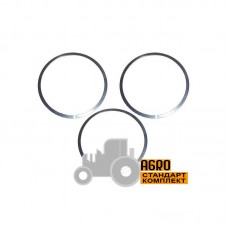 Комплект кілець 212571 фрикційного диска кормозбирального комбайна Jaguar